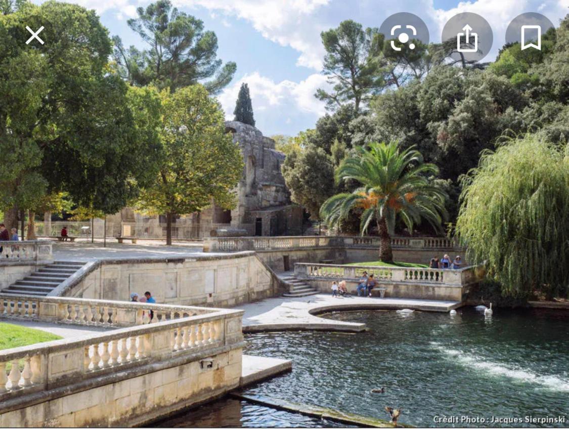 Gite Les Oliviers 10 Pers Piscine Au Calme 4 Etoiles Saint-Laurent-la-Vernède 외부 사진
